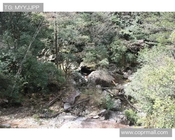 吴娜独家分享攀岩技巧与心得体会助你轻松征服高峰 吴娜独家分享攀岩技巧与心得体会助你轻松征服高峰