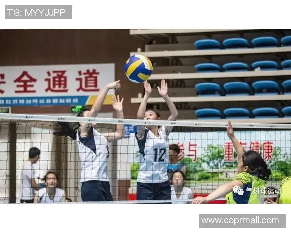 广州排球队中路突破分析与战术探讨助力排球发展