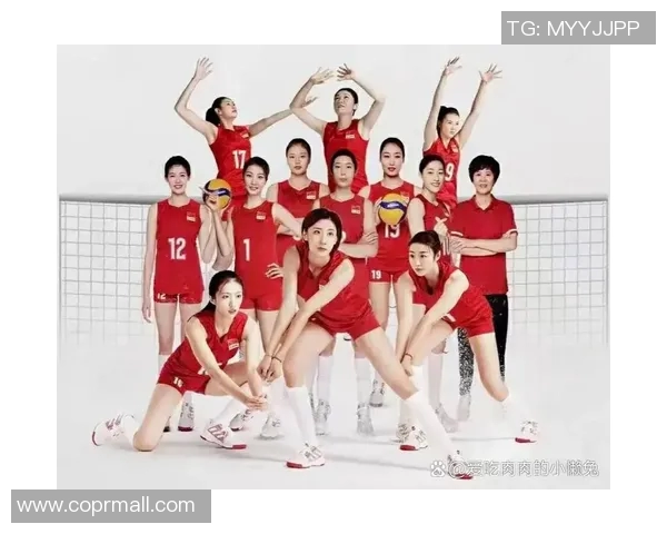 西安排球队的速度对比深度解析与战术影响探讨