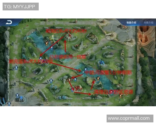 从零起步玩转王者荣耀全英雄全玩法详尽指南 从零起步玩转王者荣耀全英雄全玩法详尽指南