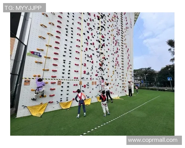 攀岩爱好者必看:如何挑选合适的防护垫及推荐品牌解析 攀岩爱好者必看:如何挑选合适的防护垫及推荐品牌解析