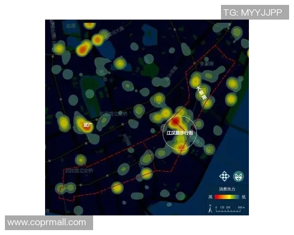 武汉滑板队力量表现深度数据分析与趋势探讨