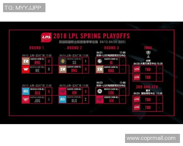 赛后分析：RNG与BLG对局中的战术意识与团队配合探讨
