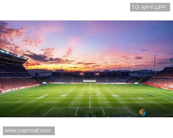 新疆雪豹迎战石家庄永昌决战绿茵场展现足球激情与实力对决