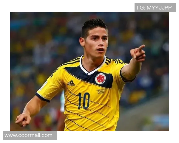 麦卡利斯特的传奇旅程与不屈精神：探索他在足球世界的辉煌成就与影响力