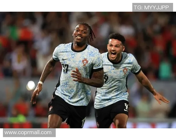 葡萄牙与瑞典足球对决深度分析及战术解析