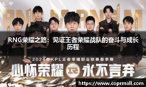 RNG荣耀之路：见证王者荣耀战队的奋斗与成长历程