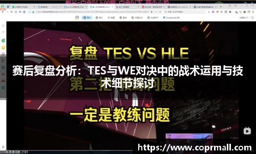 赛后复盘分析：TES与WE对决中的战术运用与技术细节探讨