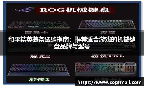 DB旗舰真人