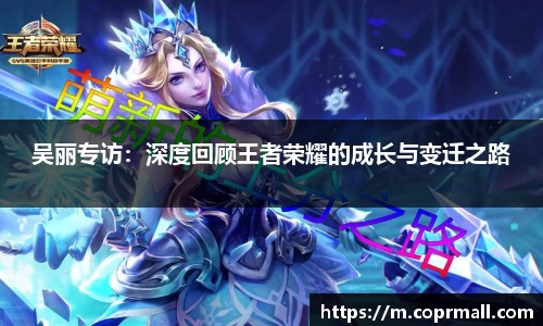 吴丽专访：深度回顾王者荣耀的成长与变迁之路