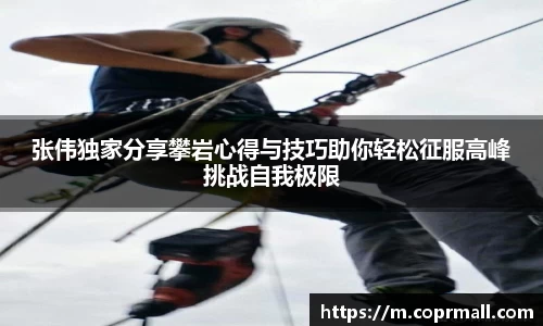 张伟独家分享攀岩心得与技巧助你轻松征服高峰挑战自我极限