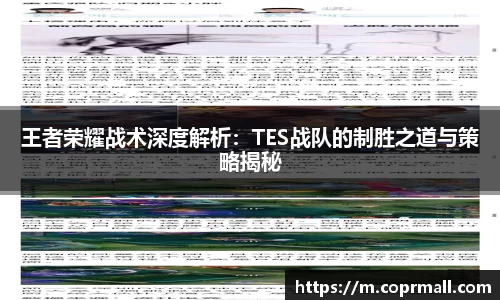 王者荣耀战术深度解析：TES战队的制胜之道与策略揭秘