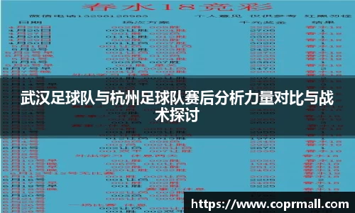 武汉足球队与杭州足球队赛后分析力量对比与战术探讨
