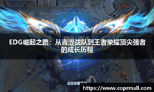 DB电竞官网