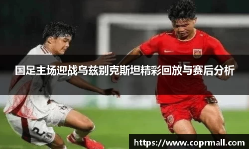 国足主场迎战乌兹别克斯坦精彩回放与赛后分析