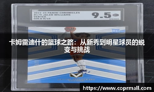 DB电竞官网