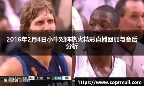 2016年2月4日小牛对阵热火精彩直播回顾与赛后分析