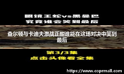 DB旗舰真人